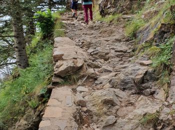 Excursión Senderismo Loudenvielle - La Clarabide et refuge de la soula - Photo