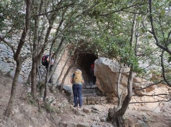 Trail Walking Puyloubier - le pic des mouches  - Photo