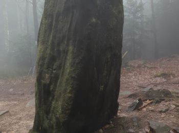 Tocht Stappen Wangenbourg-Engenthal - obersteigen - Photo