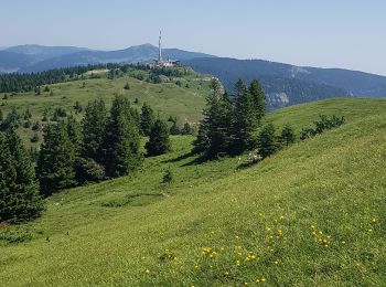 Randonnée Marche Gex - 190628 MontRond - Photo