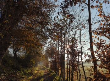 Tour Wandern La Mézière - La Mézière A+ Reco  - Photo