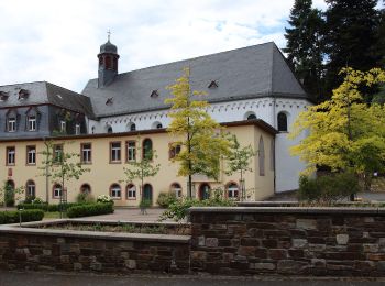 Percorso A piedi Rüdesheim am Rhein - Wanderweg gelber Balken - Photo