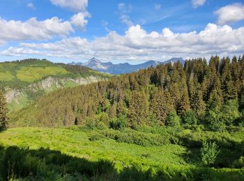 Excursión Senderismo Villard-sur-Doron - Les Saisies - Grattary - Photo