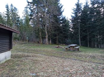 Trail Walking Éloyes - 18-02-22 tête des cuveaux - Photo