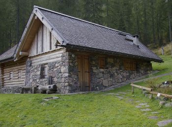 Percorso A piedi Telve di Sopra - Sentiero natura dell'Oasi di Valtrigona - Photo