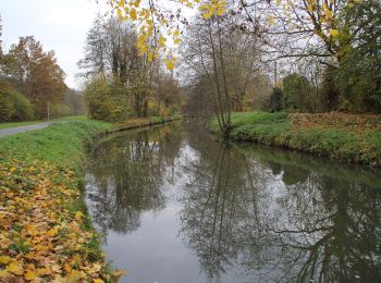 Trail On foot Breuberg - Rundwanderweg Neustadt 2 : Dammberg-Weg - Photo