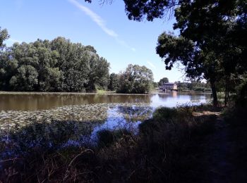 Trail Walking Cléré-sur-Layon - Clere sur Layon - Photo