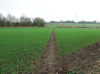 Trail On foot Uttlesford - Turpin's Trail 1 - Photo