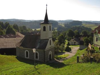 Percorso A piedi Gemeinde Groß Gerungs - Kierlingstein 32 - Photo