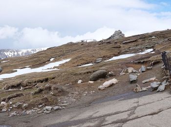 Trail On foot  - Cabana Babele - Vârful Caraiman - Șaua Șugărilor - Photo