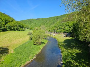 Tocht Stappen Goesdorf - Goebelsmühle - Bourscheid - Dirbach - Photo