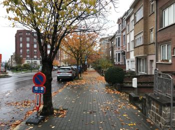 Percorso Marcia Woluwe-Saint-Lambert - Sint-Lambrechts-Woluwe - Woluwe - Berchem 16,5 km - Photo