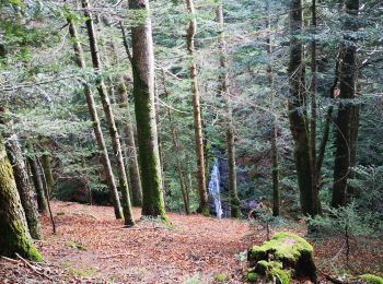 Randonnée Marche Usclades-et-Rieutord - Nord rieutore marche  - Photo