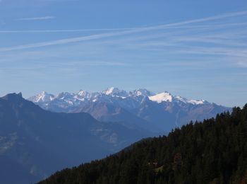 Trail On foot Conthey - Bisse de la Tsandra - Photo