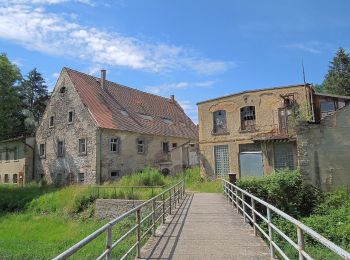 Tour Zu Fuß Seifhennersdorf - LG-Gelber Strich - Zittau-Seifhennersdorf - Photo