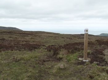 Randonnée A pied  - Causeway Coast and Glens - 9 - Salllagh Braes Walk - Photo