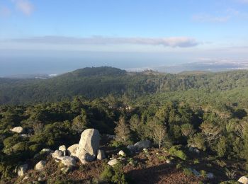 Trail On foot Alcabideche - Rota das Aldeias - Photo