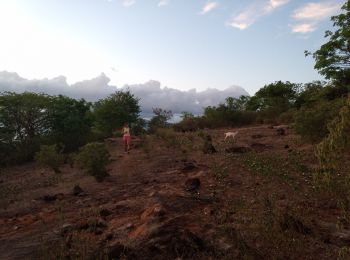 Trail Walking Terre-de-Haut - Les Saintes - J1 - Photo
