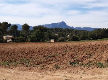 Tour Wandern Carqueiranne - colline de Bauveze - Photo