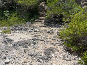 Tocht Zwemmen Saint-François - Départ anse à la gourde jusqu’à presque 47B - Photo