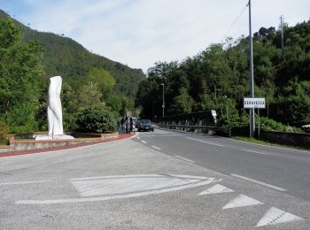 Tocht Te voet Seravezza - Sentiero Alta Versilia - Photo