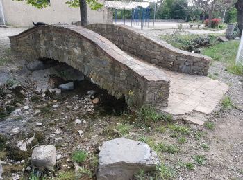 Tour Wandern Saint-Julien-les-Rosiers - St julien les rosiers dolmen - Photo