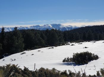 Tour Schneeschuhwandern Les Angles - raquettes pla del mir lac d'Aude  - Photo