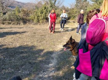 Percorso Marcia Valaurie - gym 02 03 22 - Photo