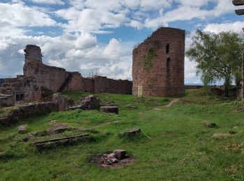 Trail Walking Dieffenbach-au-Val - dieffenbach au val - frankenbourg - Photo