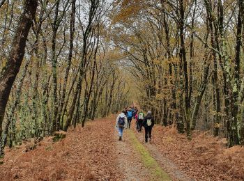 Trail Walking Le Porge - Le porge - Photo