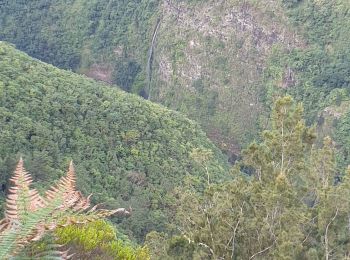 Excursión Senderismo Saint-Denis - Sentier Marmaille Morne de St François  - Photo