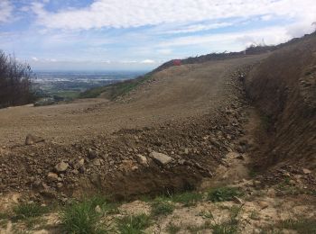 Trail On foot Spreydon-Cashmere Community - Hiking trail - Photo