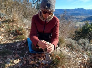 Trail Walking Sisteron - SISTERON . LE BOIS DE LA BUCHE . ROCHER DU TURC . CRETE DU MOLLARD . BATISTON PAUL ARENE . O  L - Photo