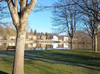 Percorso Marcia Vulaines-sur-Seine - Vulaine Hericy - Photo