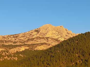 Excursión Senderismo Beaurecueil - Beaurecueil Le Grand Cabries - Photo