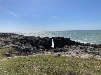 Excursión Senderismo Le Croisic - Le Croisic -St Nazaire 1/2 - Photo