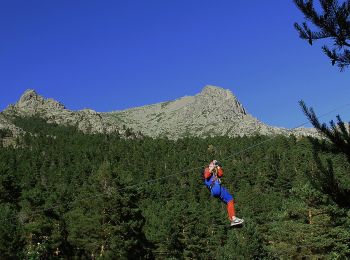 Randonnée A pied Navacerrada - Senda del Valle de la Barranca - Photo