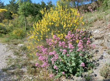 Tocht Stappen Aubignosc - AUBIGNOSC,  les canyons circuit court o l - Photo