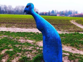 Randonnée Marche Ellezelles - Le sentier de l’étrange à Ellezelles  - Photo