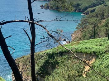 Trail Walking Crozon - Cap de la Chèvre  - Photo