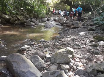 Randonnée Marche Fonds-Saint-Denis - Remontez de la petite rivière du Carbet -Cacade tobogant - Photo