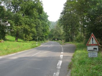 Percorso A piedi Meißner - Premiumweg P 23 Höllental - Photo