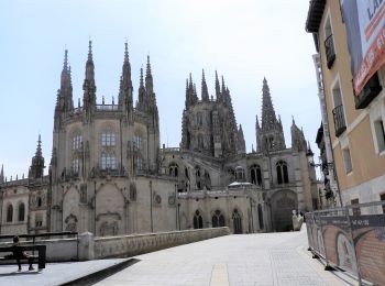 Tocht Stappen Arlanzón - 23.04.18 Agés--Burgos - Photo