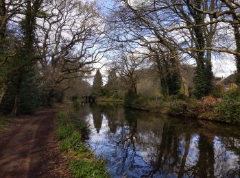 Excursión Senderismo Woking - promenade le long du canal Woking -Brookwood - Photo