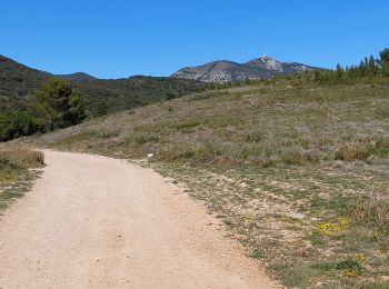 Percorso Marcia Saint-Saturnin-de-Lucian - rochers des vierges et canyon du diable - Photo