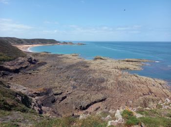 Trail Walking Erquy - Cap d'Erquy 3.7.23 - Photo