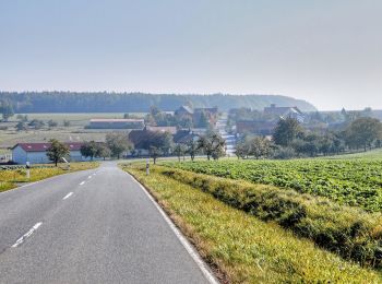 Randonnée A pied Eichenbühl - Rundwanderweg Eichenbühl Guggenberger Höhe 3: Scheidberg-Weg - Photo