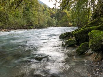 Excursión A pie Preddvor - Panoramska pot pod Javorovim vrhom - Photo