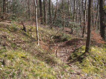 Tour Zu Fuß Balve - Deilinghofen Rundweg 3 - Photo