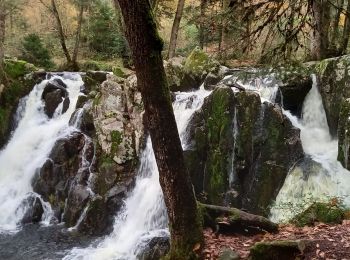 Randonnée Marche Gerbamont - cascadu bouchot vosges - Photo